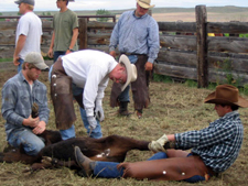 USA-Montana-Lonesome Spur Ranch